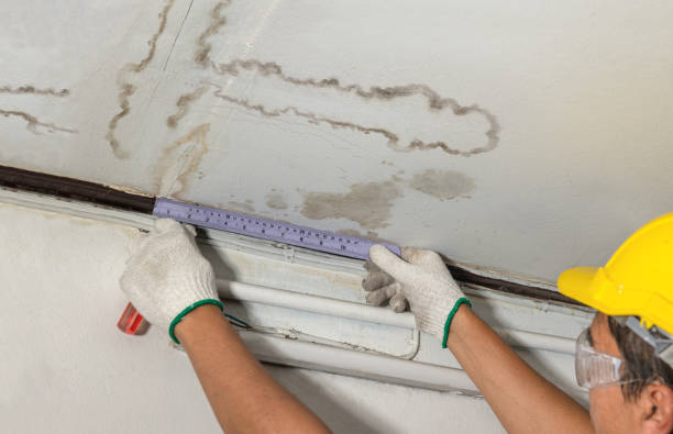 Reliable Mold Remediation contractor in Clinton, OK by Local Water Damage Repair